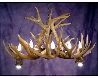 Può includere: Un lampadario rustico in corna di cervo con finitura marrone e più lampadine. Il lampadario è realizzato con corna di cervo vere e ha un aspetto unico e naturale.