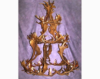 FALGRAND Real Antler Fallow Deer Grand Chandelier Light, Rustic