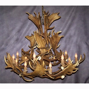 FALCUSTOM Real Antler Custom Fallow Deer Chandelier Light, Rustic