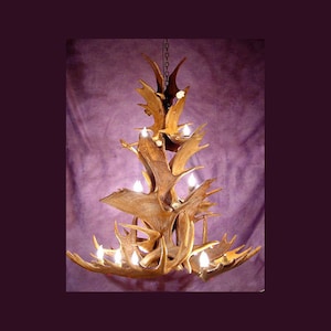 MSCAS Real Antler Moose Cascade Chandelier Light, Rustic, Deer