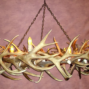 EMDRND Real Antler Elk / Mule Deer Round Chandelier Light, Rustic, Deer