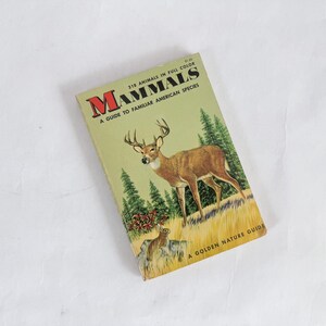 1955 Mammals Golden Nature Guide | American Wildlife Book, MCM Book