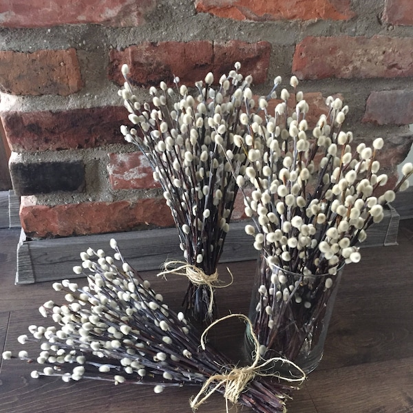 40 Dried pussywillow branches, dried branches, Catkins, natural dried branches, vase filler, spring decor