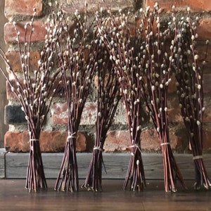 Aqumotic Artificial Pussy Willow Branches for Vases 1pc Tall Pussywillow in  Floor Vase Fake Twigs Espigas