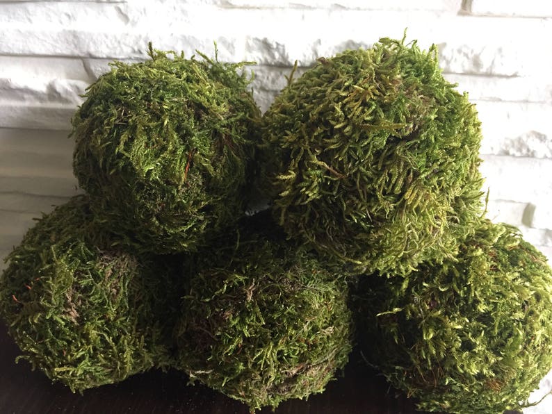 Moss balls Moss covered balls Moss decor Rustic home decor Etsy