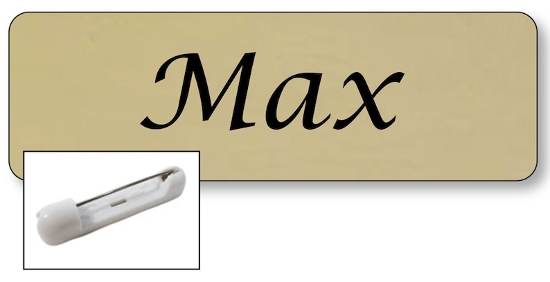 1 MAX From TWO BROKE Girls Halloween Costume Name Badge Tag with a Pin Fastener Ships Free