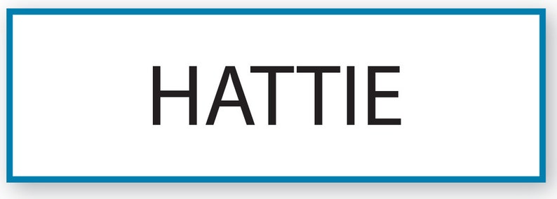 1 HATTIE Waitress From Tyler Perrys LOVE thy NEIGHBOR Halloween Costume Name Badge Tag Pin Fastener Ships Free