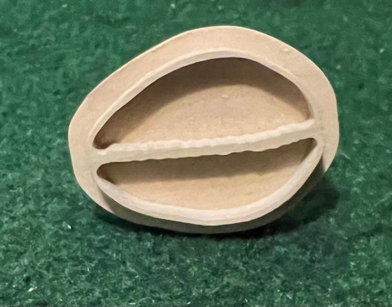 Cowrie 2