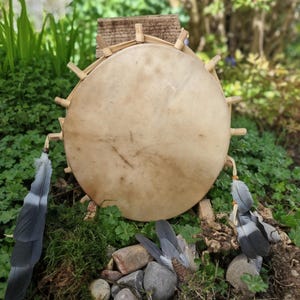 May include: A round, handmade drum with a natural hide drumhead and a wooden frame. The drum is adorned with feathers and sits on a bed of moss and stones. The drum's diameter is approximately 12 inches.