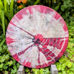 14&quot; Buffalo skin shaman drum,  Shamanic Drum, Buffalo shamanic drum. (video in the description)