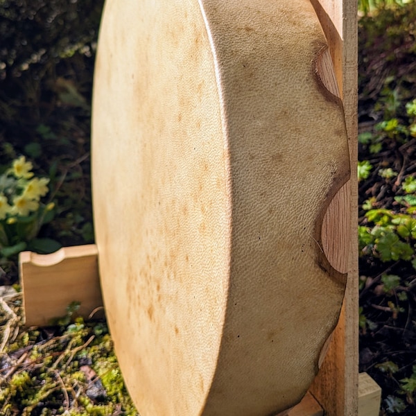 12" Deer skin shaman drum,  Shamanic Drum, Deer shamanic drum. (video in the description)