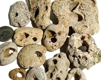 Hag Stones (SMALL) -hand collected, beach stones, healing stone, beach rocks, odin stone, adder stone, fairy stone, pebble art, alter stone