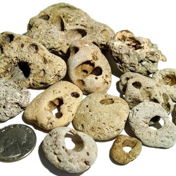 Hag Stone (SMALL) -hand collected, beach stone, witch stone, holey stone, odin stone, adder stone, fairy stone, pebble art, altar stone