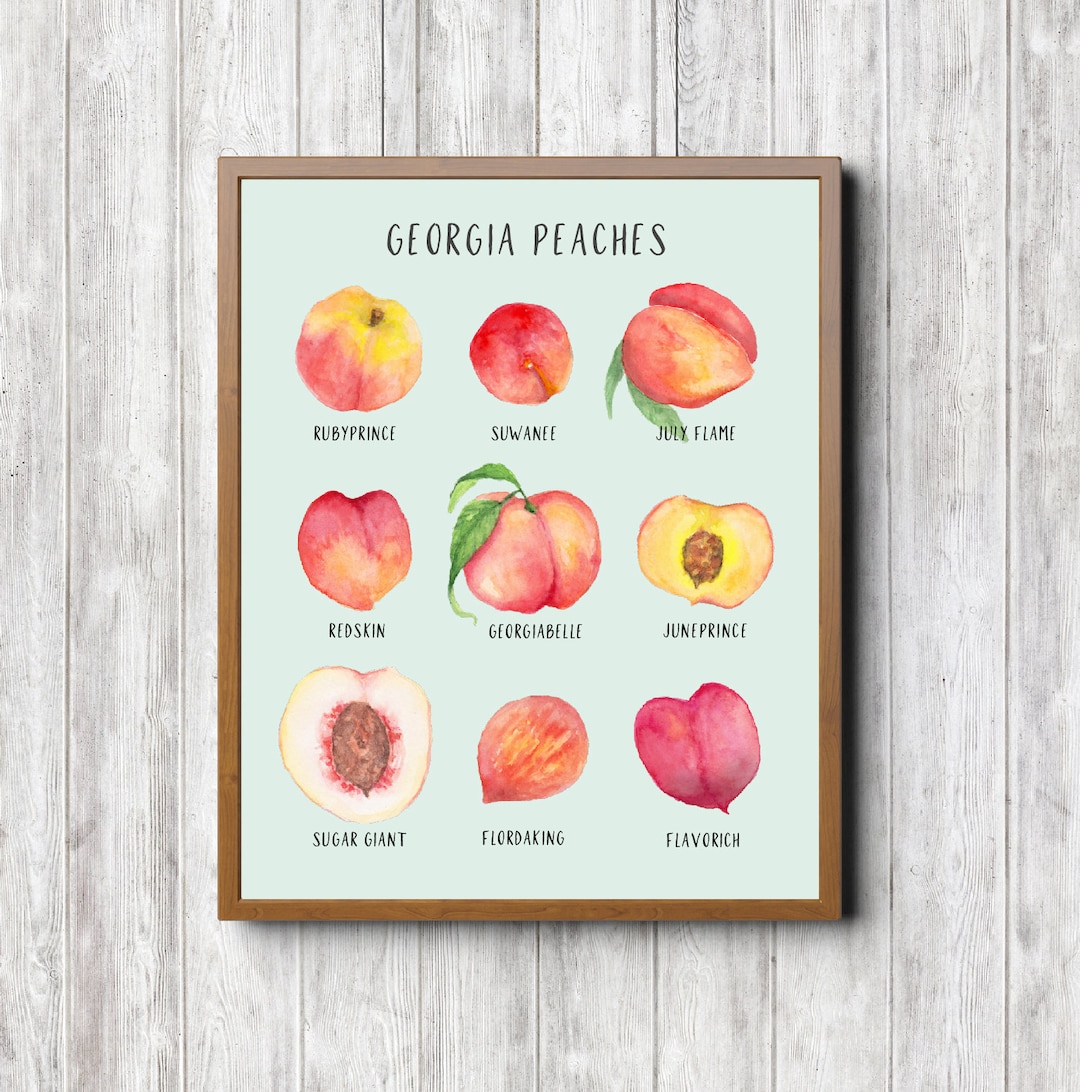 Georgia Peaches Print- Black Font- Variety of Peaches Watercolor ...
