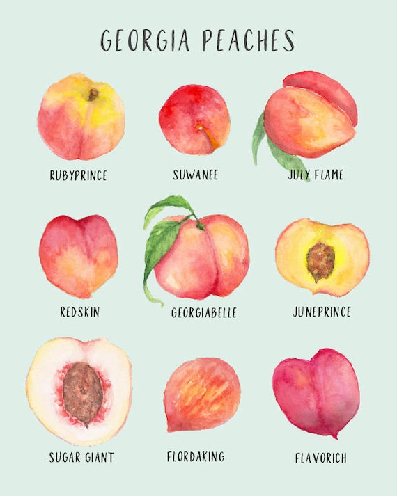 Georgia Peaches