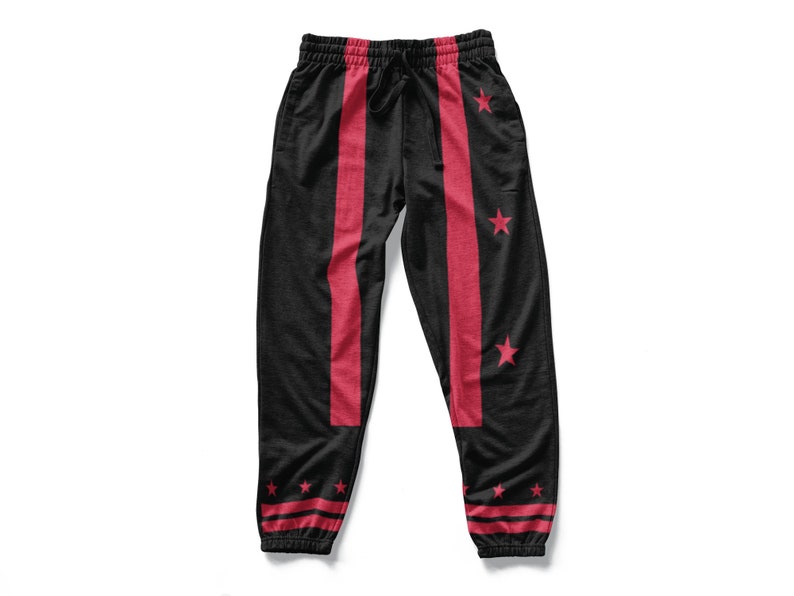 Washington DC Flag Jogger Pants/Sweat Pants/Track Pants image 1