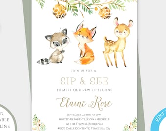 Sip and See Invitation Girl Woodland Template, Woodland Animal Meet and Greet Invite, Meet the Baby Sip and See Party Fall Baby Shower, BSPC