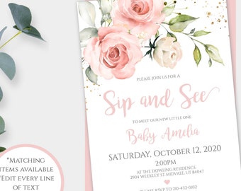 Sip and See Invitation Girl Template, Blush Pink Meet and Greet Invite, Meet the Baby Invite, Sip and See Girl, Floral Sip and See Party