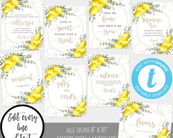 Lemon Bridal Shower, Citrus Shower Sign Template Set, She Found Her Main Squeeze, Lemon Decorations, Editable Lemon Sign, Printable Sign LGB