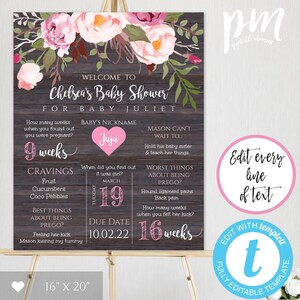 Plantilla de tablero de estadísticas de embarazo floral rosa rústico para baby shower, cartel de recuerdo del embarazo, tablero de hitos del embarazo, embarazo, BSRF3