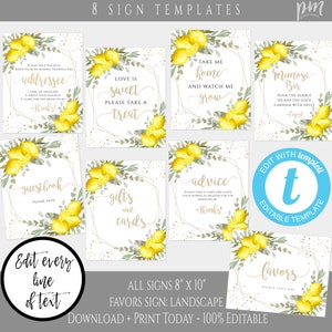 Lemon Bridal Shower, Citrus Shower Sign Template Set, She Found Her Main Squeeze, Lemon Decorations, Editable Lemon Sign, Printable Sign LGB