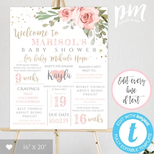 Blush Floral Schwangerschaft Stat Board Vorlage, Schwangerschaft Andenken Poster, Schwangerschaft Meilensteine Board, Schwangerschaft Geschenk, Baby Shower Zeichen, BSBG