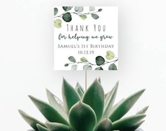 Watch Me Grow Plant Sign Template, Succulent Favor Tag Template, First Birthday Favor Tag, Editable Shower Template, Printable Plant Tags