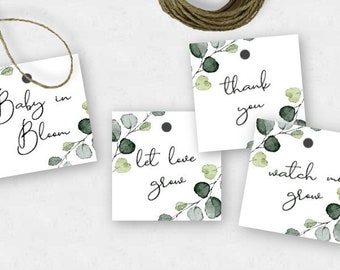 Let Love Grow, Baby in Bloom, Watch me Grow, Thank You Tags, Succulent Favor Tag, Editable Template, Printable Cactus or Plant Tags, WBGE