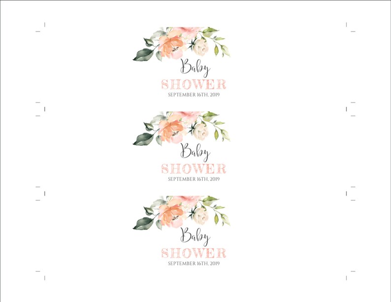 BSP2 Mini Champagne Bottle Label Templates Peach Floral Watercolor Baby Shower Decor for Girl DIY Editable Template Water Bottle Label