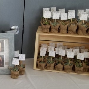 Watch Me Grow Plant Sign Template, Succulent Favor Tag Template, First Birthday Favor Tag, Editable Shower Template, Printable Plant Tags