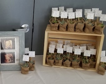 Watch Me Grow Plant Sign Template, Succulent Favor Tag Template, First Birthday Favor Tag, Editable Shower Template, Printable Plant Tags