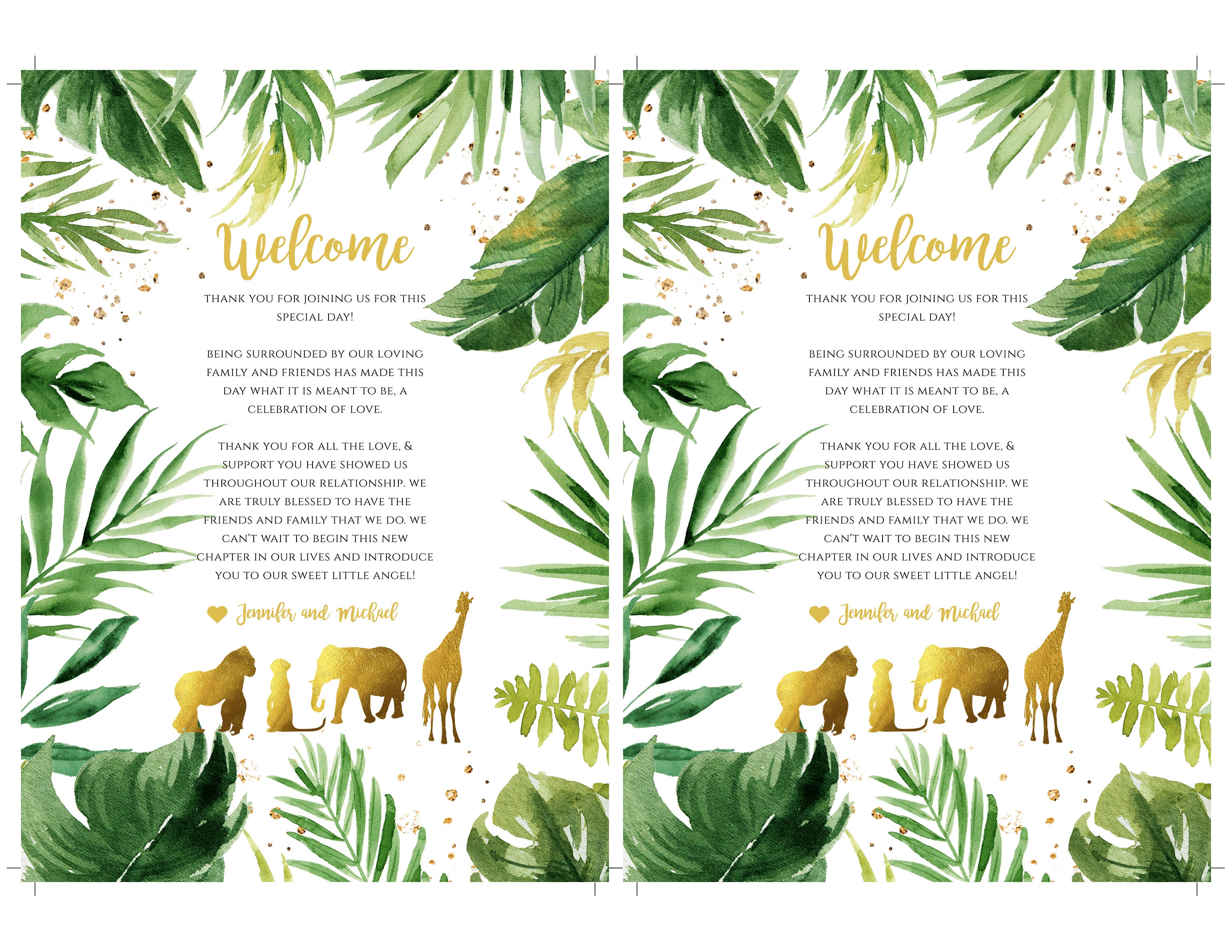 Baby Shower Itinerary Template Printable Safari Itinerary Etsy