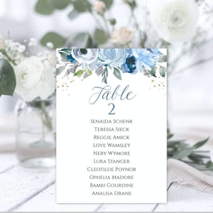 Blue Floral Seating Chart Template, Bridal Shower Table Cards, Wedding Shower Table Numbers, Seating Plan, Printable Seating Chart, BFWS