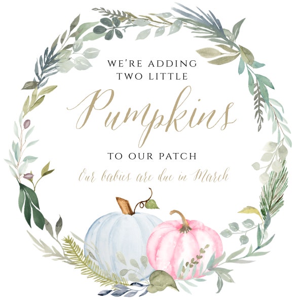 Fall Twins Pumpkin Blue + Pink Social Media Pregnancy Announcement, We're Adding Two Little Pumpkins To Our Patch Digital Announcement BPTBS