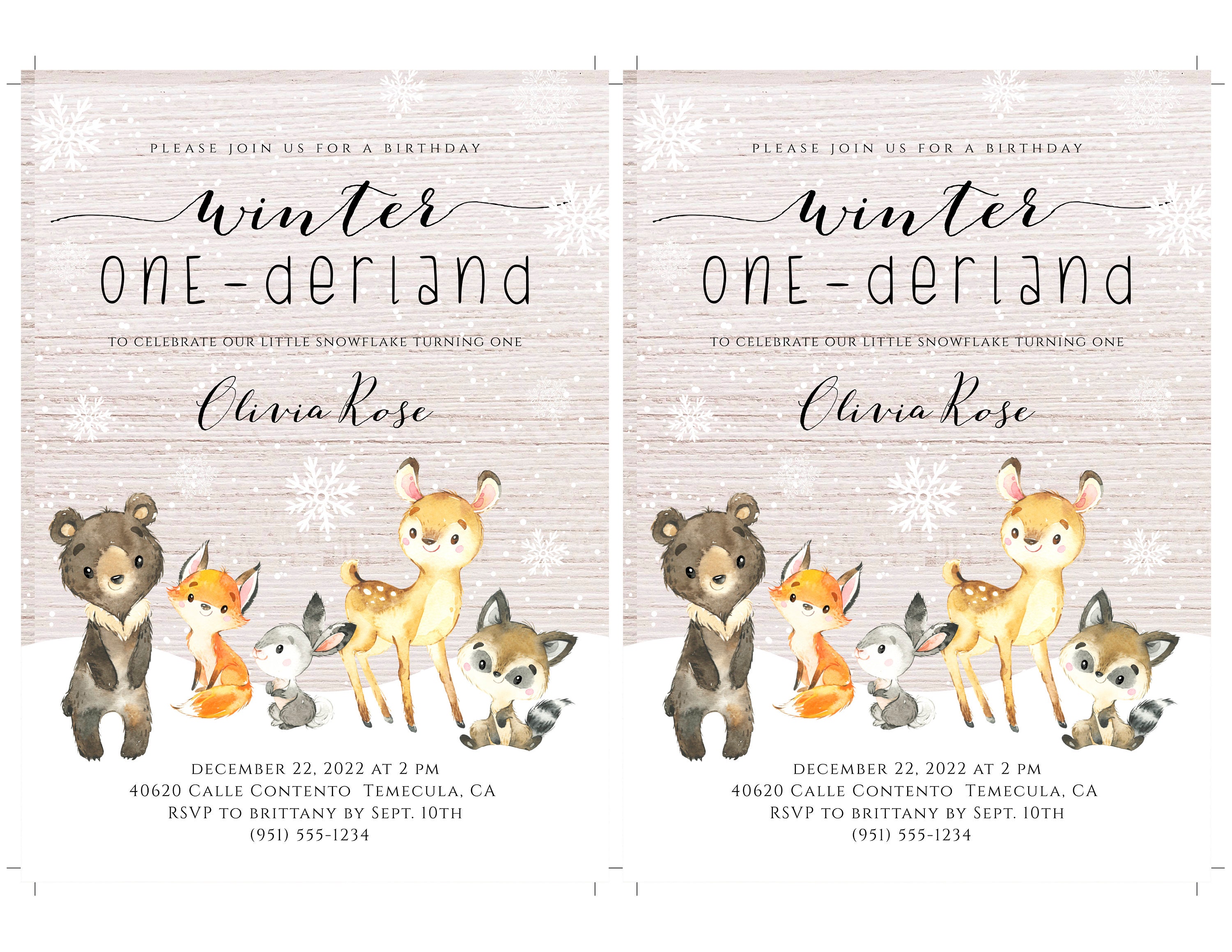Rustic Woodland Animal Winter One-derland First Birthday