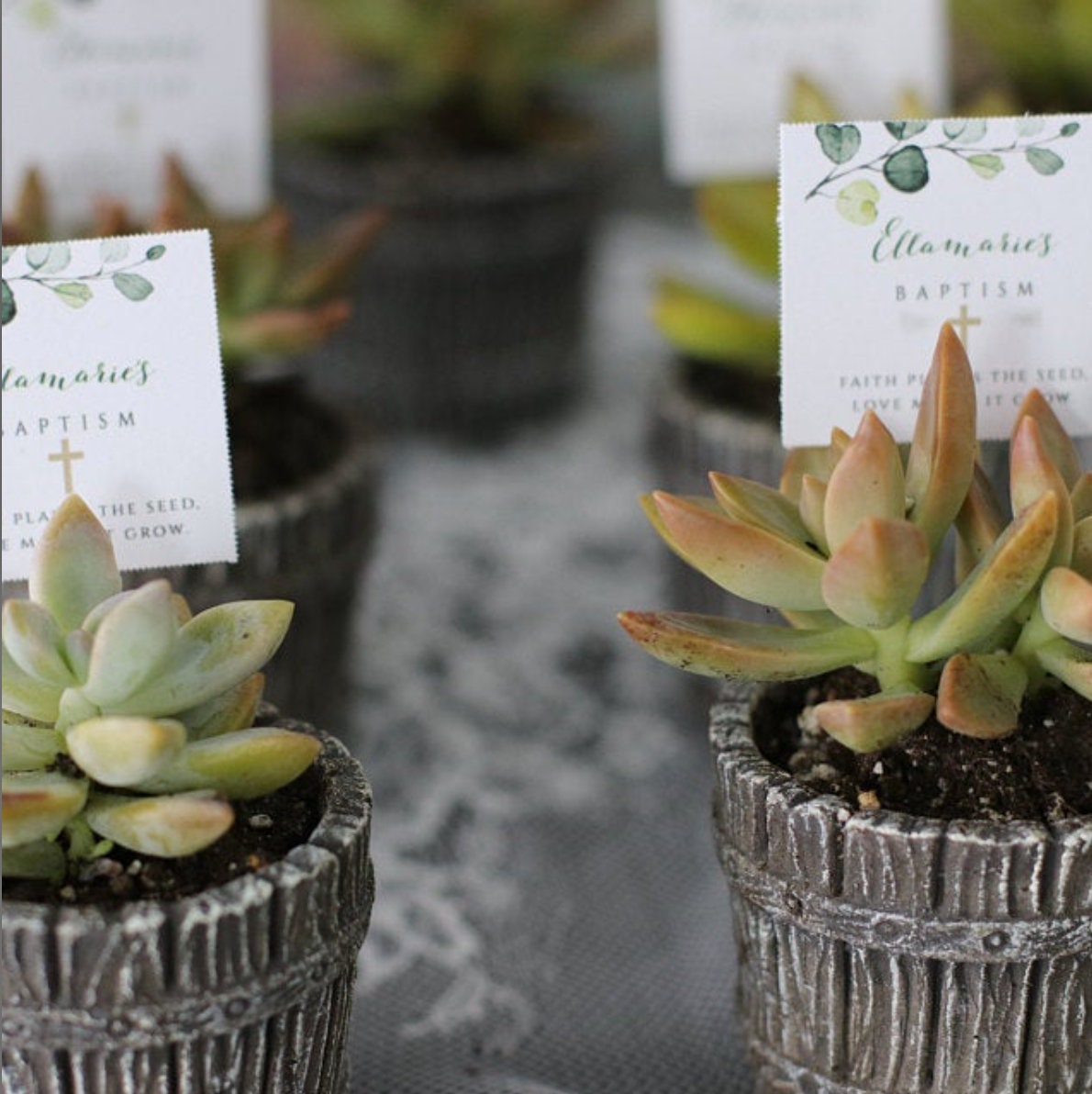 1st Communion Faith Plants the Seed Love Makes It Grow Favor Etsy Canada