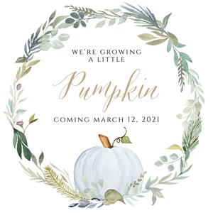 Pode incluir: Uma ilustração em aquarela de uma coroa de folhas com uma abóbora azul claro no centro. O texto "We're growing a little Pumpkin coming March 12, 2021" está escrito em letras douradas.