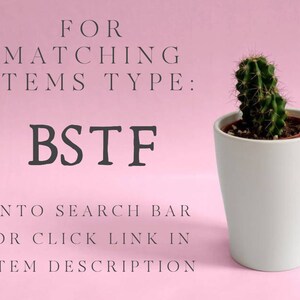 May include: A small cactus in a white ceramic pot against a pink background. Text on the image reads "FOR MATCHING ITEMS TYPE: BSTF INTO SEARCH BAR OR CLICK LINK IN ITEM DESCRIPTION."