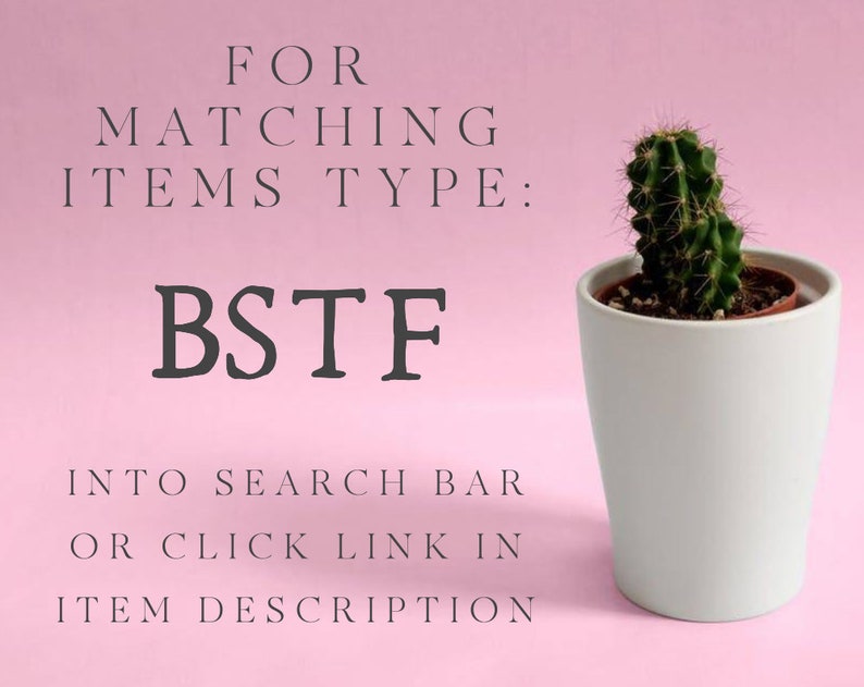 May include: A small cactus in a white ceramic pot against a pink background. Text on the image reads "FOR MATCHING ITEMS TYPE: BSTF INTO SEARCH BAR OR CLICK LINK IN ITEM DESCRIPTION."
