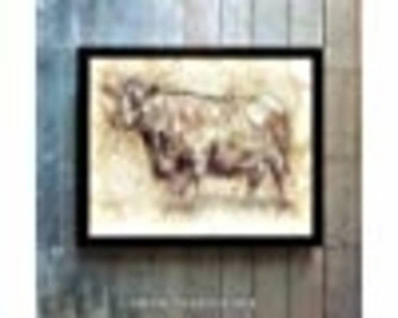 Art Prints Art Wall Decor Angus Cow 11 x 14 Unframed Print