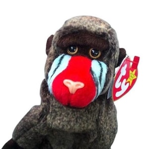 May include: A brown and gray stuffed monkey with a red face and blue markings. The monkey is standing on all fours and has a red Beanie Baby tag attached to its ear.