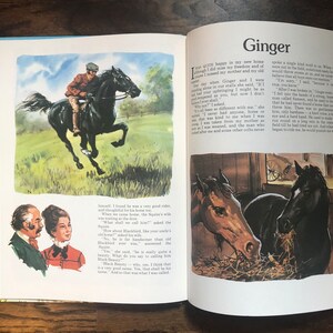 May include: A black horse with a rider galloping through a green field. The horse is jumping over a fence. The rider is wearing a brown jacket and a brown hat. The background is a blue sky with white clouds.