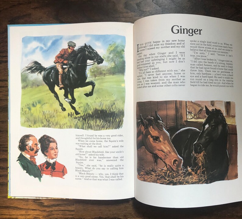 May include: A black horse with a rider galloping through a green field. The horse is jumping over a fence. The rider is wearing a brown jacket and a brown hat. The background is a blue sky with white clouds.