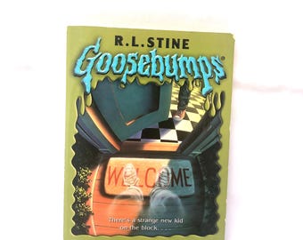 GOOSEBUMPS Double Feature DVD: Ghost Next Door / Shocker on
