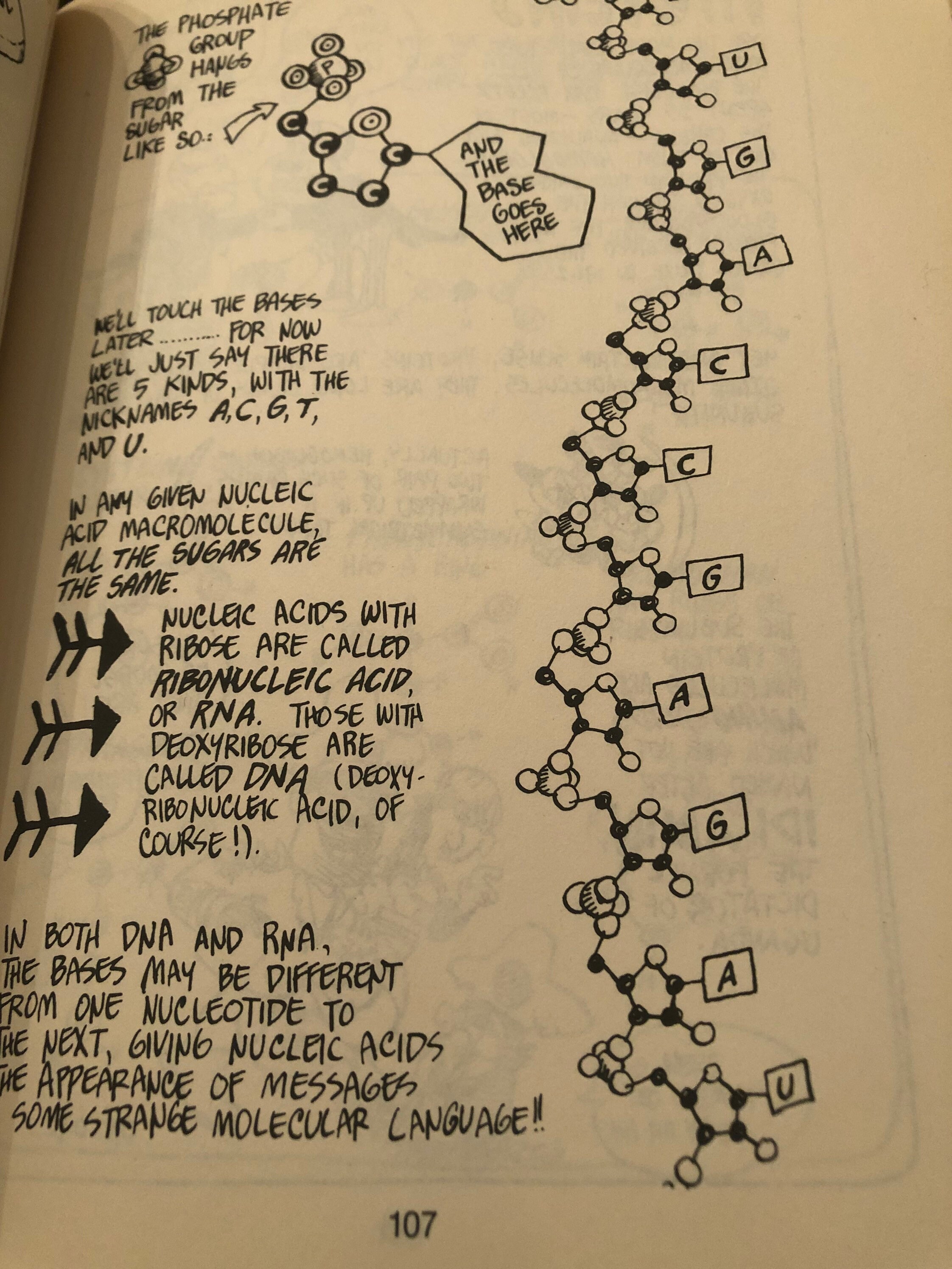 The Cartoon Guide to Genetic's , by Larry Gonick & Mark Wheelis