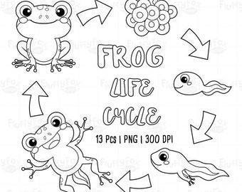 Frog Life Cycle Digital Stamp, Pond Animals Lineart Tadpole Froglet School Learning Science Aquatic Amphibian Wild Cute Graphic PNG Download