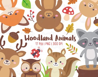 Woodland Animals Clipart, Forest Animal Clip Art, Wild Cute Colorful Fox Deer Squirrel Raccoon Rabbit Owl Bear Ladybug, Graphic PNG Download