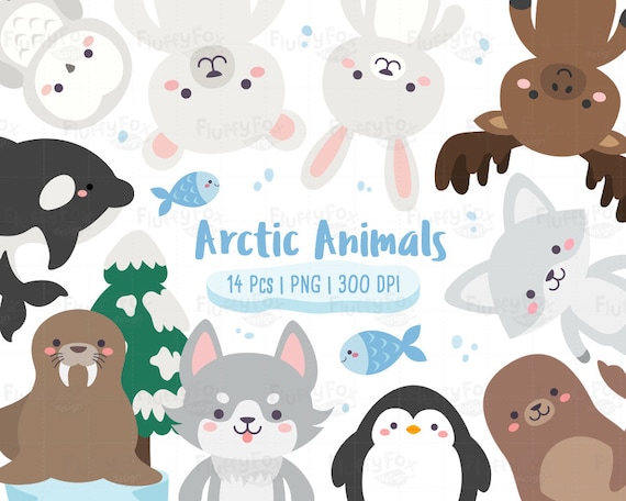 Arctic Animals Clipart Antartica Animal Clip Art Wild Winter | Etsy