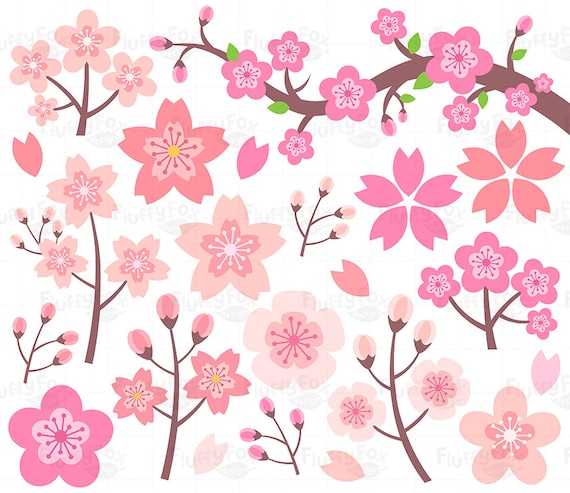 Japan Cherry Blossom Clip Art Realistic Sakura Japan Cherry Branch