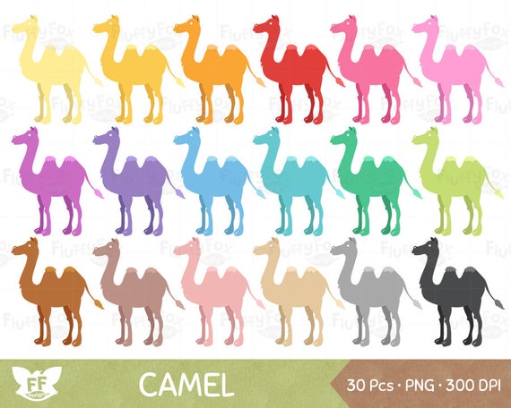 Kamel Clipart Kamele Cartoon Clipart Hump Tag Susse Bunte Etsy